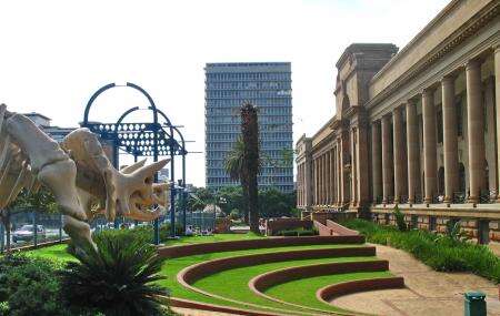 Find a rhinoceros at the National Museum of Natural History